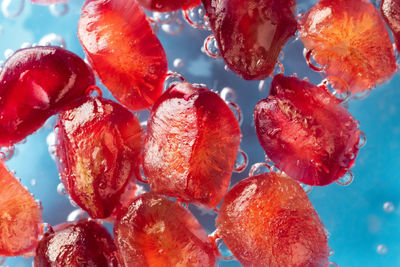 Full frame shot of red berries