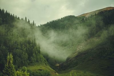 Scenic view of tree mountains against sky