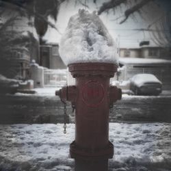 Close-up of plant against blurred background
