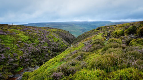 Scenic view of landscape against sky