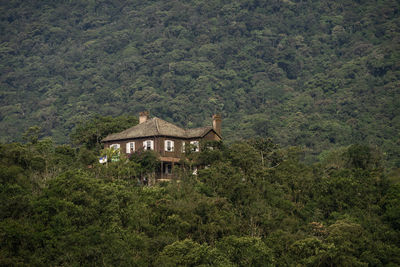 House on mountain by trees in forest