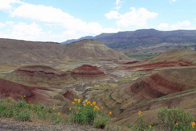 Scenic view of landscape against sky