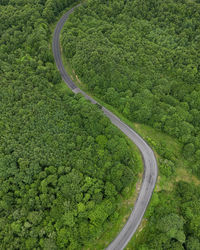 High angle view of agricultural field