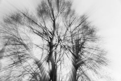 Low angle view of bare tree against sky