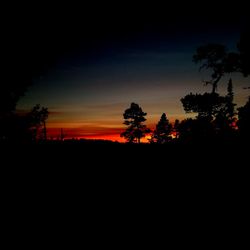 Silhouette trees against sky during sunset