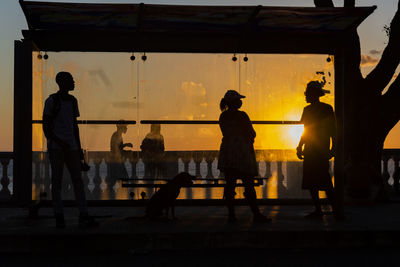 Silhouette at sunset of tree, bus stop and people walking on the edge of porto da barra.