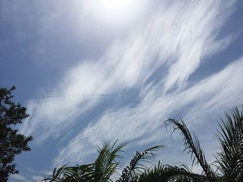 Low angle view of trees against cloudy sky