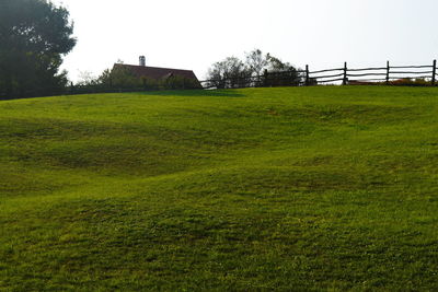 Scenic view of grassy field against clear sky