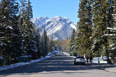 Road amidst trees and snowcapped mountains during winter
