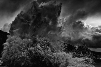 Low angle view of trees against sky