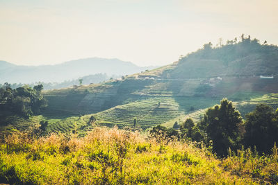 Scenic view of field against sky