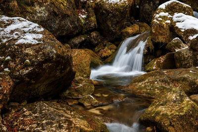 View of waterfall in forest