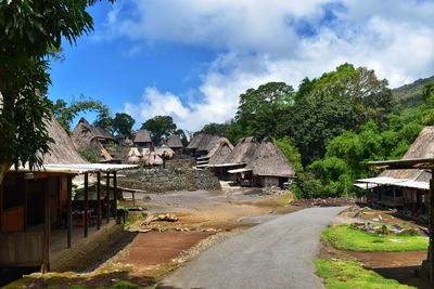 Road amidst trees and houses against sky