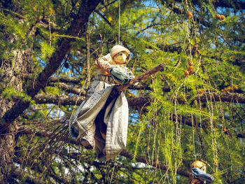 Low angle view of old doll on branch in forest