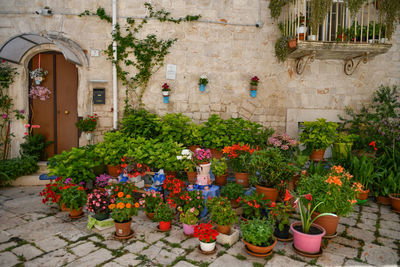 The exterior of a house in a small street in casamassima, a villagein the puglia region, italy.