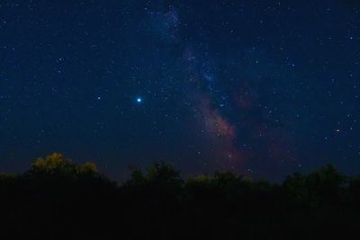 Low angle view of trees against sky at night