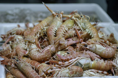 Close-up of seafood