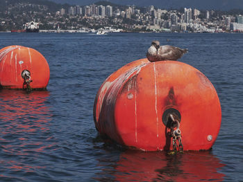 View of red boat in water