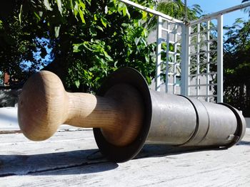 Close-up of wood and plant in city