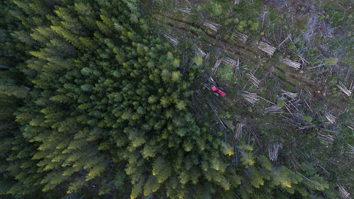 High angle view of forestry machinery amidst trees in forest