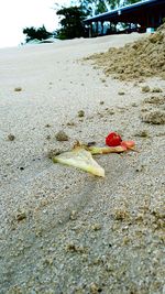 Close-up of sand on beach