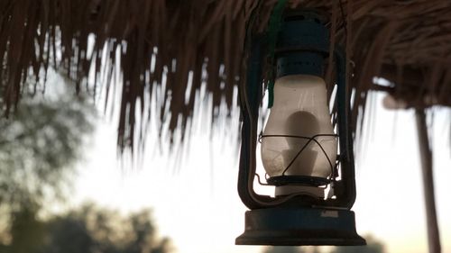 Low angle view of hanging light against trees