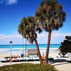 Palm trees on beach against sky