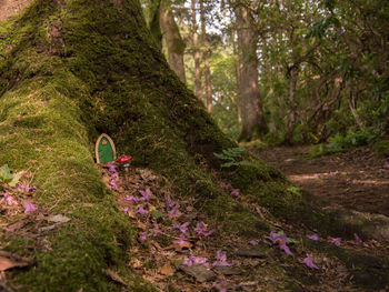 Woman with flowers in forest