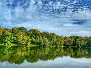 Scenic view of lake by trees against sky