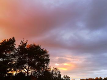 Low angle view of silhouette trees against sky during sunset