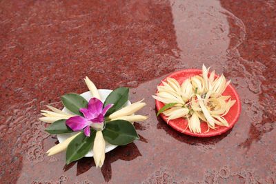 High angle view of pink lilies