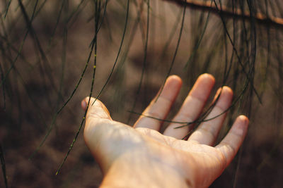 Close-up of hand against blurred background