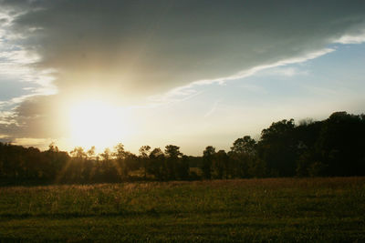 Scenic view of grassy field against sky at sunset