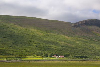 Scenic view of agricultural field against sky