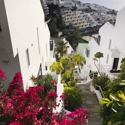 High angle view of potted plants and buildings in city