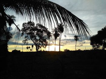 Low angle view of silhouette palm trees against sky