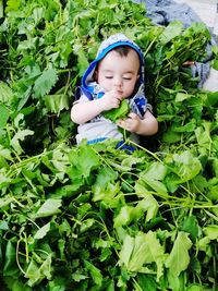High angle view of cute baby boy lying on leaves