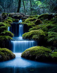 Scenic view of waterfall in forest