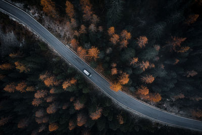 High angle view of road amidst trees at night