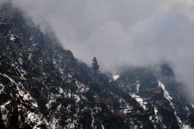 Scenic view of trees against sky during winter