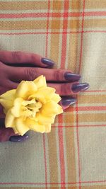 Close-up of hand holding fruit at home