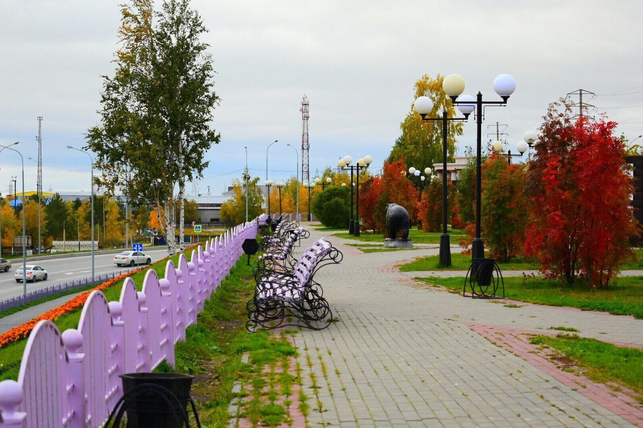 VIEW OF PARK