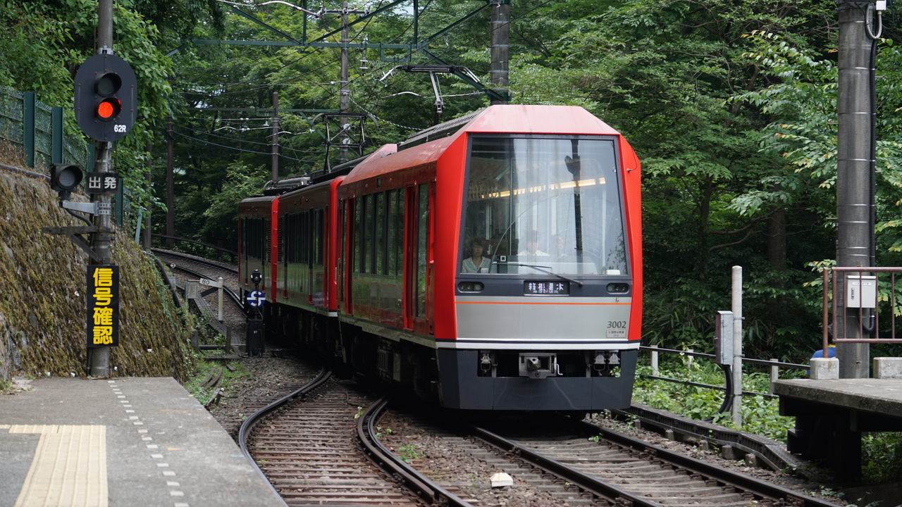 railroad track, transportation, rail transportation, public transportation, train - vehicle, mode of transport, tree, day, outdoors, no people, nature