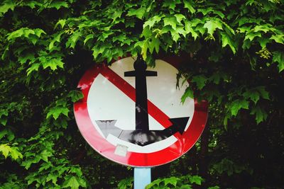 Close-up of road sign against plants