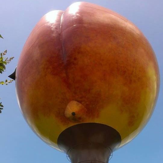 low angle view, sphere, sky, lighting equipment, clear sky, no people, hot air balloon, outdoors, single object, tree, close-up, street light, lantern, day, blue, built structure, copy space, illuminated, nature, circle