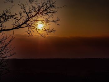 Silhouette tree against sky during sunset