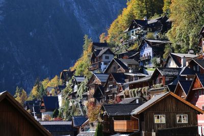 Houses by trees against mountain