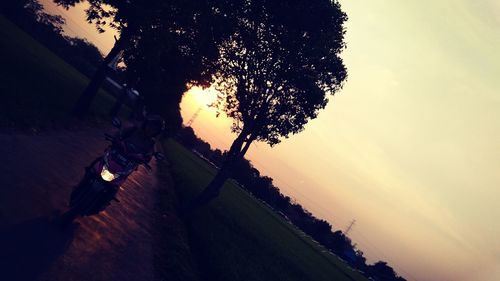 Silhouette tree against sky at sunset