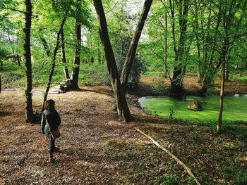 Rear view of man amidst trees in forest