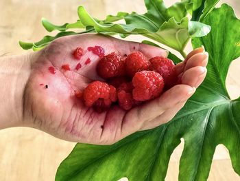 Close-up of hand holding strawberries